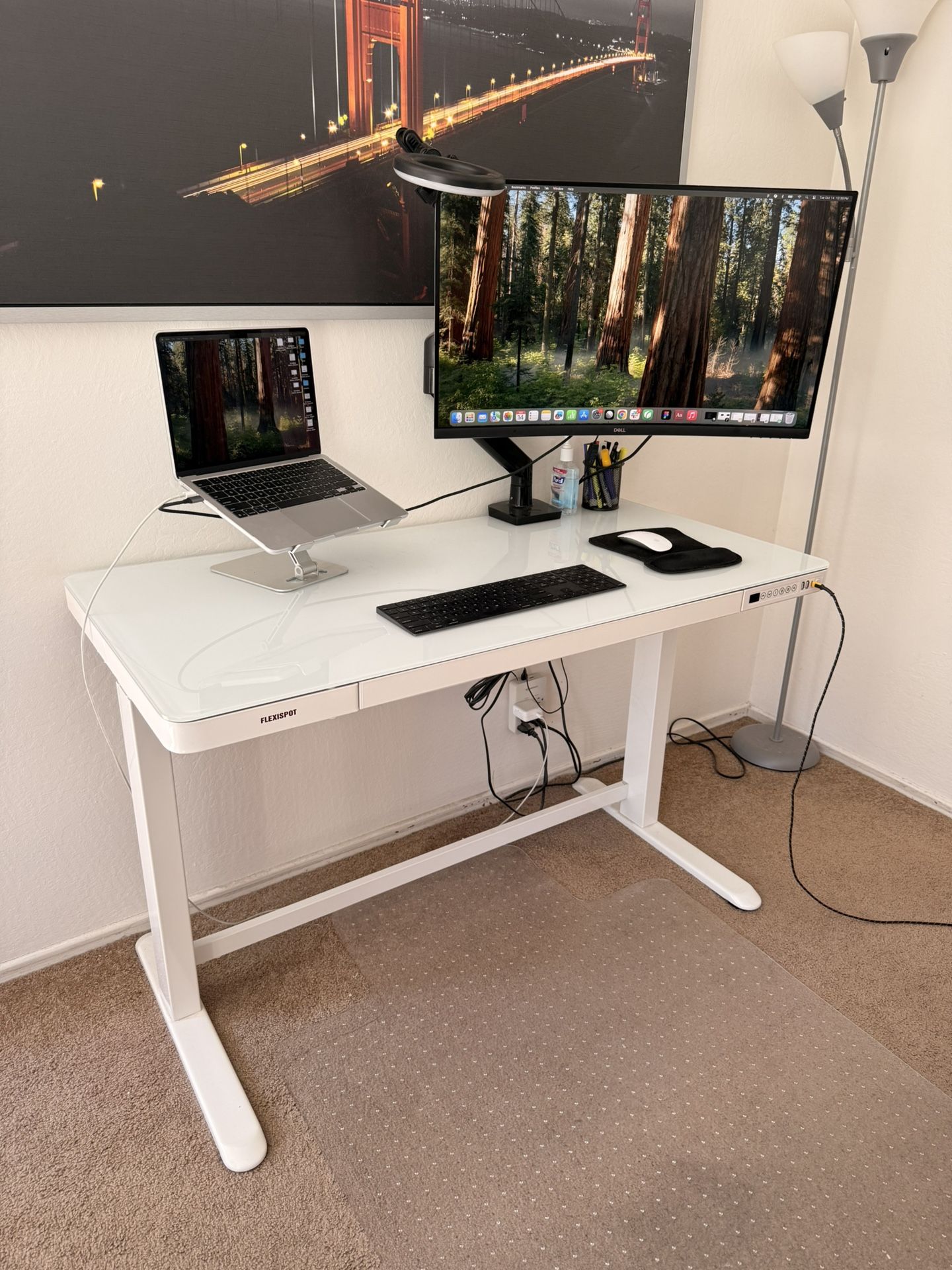 Flexispot WFH desk