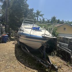 1988 Bayliner 2455 Cierra Sunbridge – 24 ft cruiser with trailer