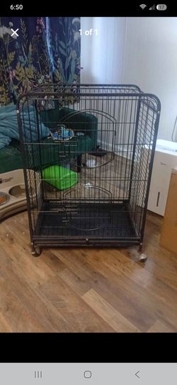 Rodent Cage
