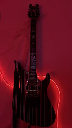 (FOR TRADE) 2009 Schecter Synester gates