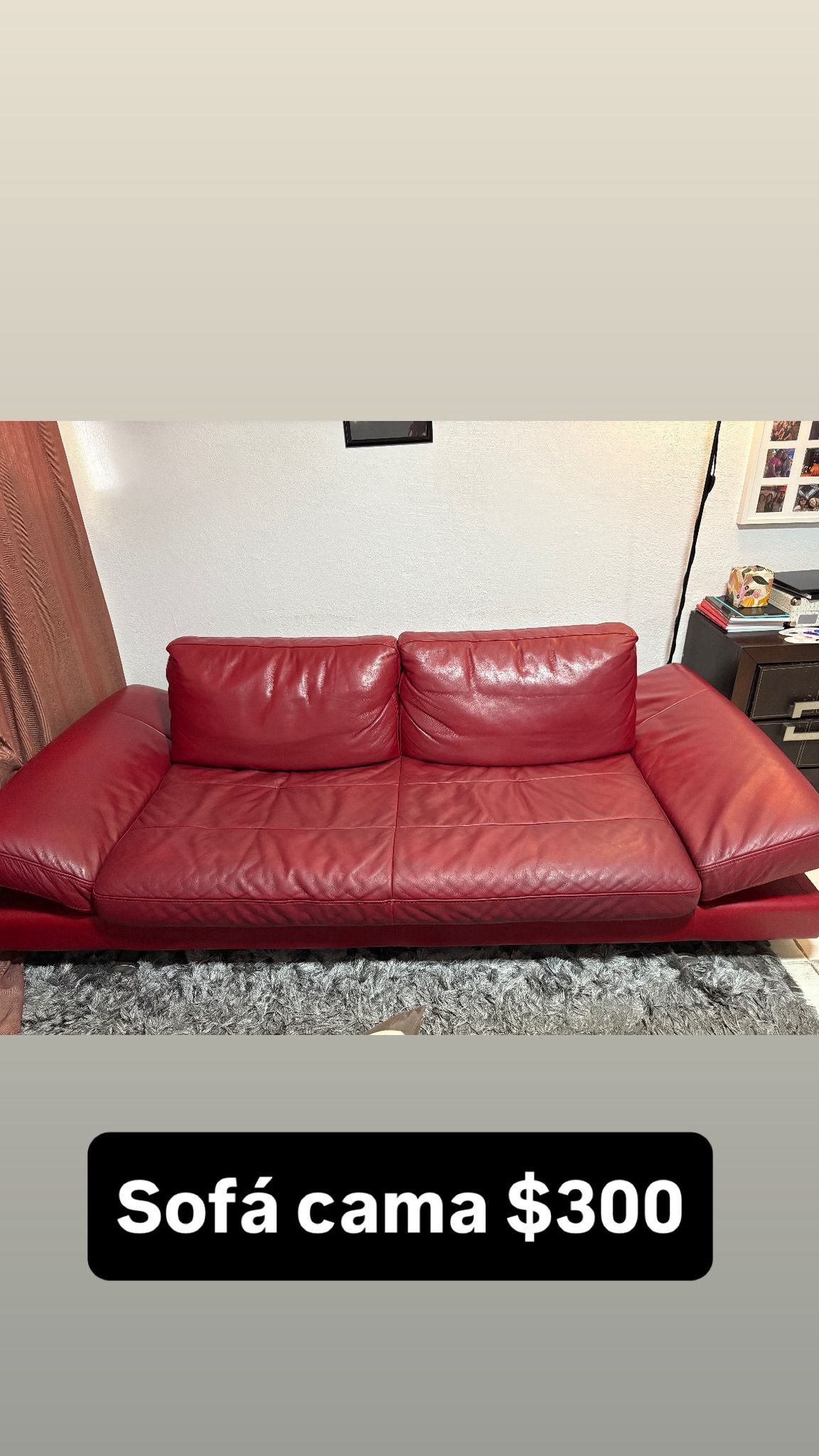 Sofa Cama