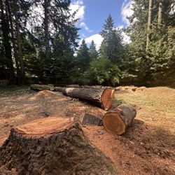 Free Firewood