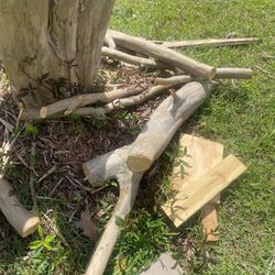 Free Wooden Tree Branches