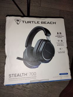 Turtle Beach