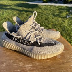 Yeezy Size 11