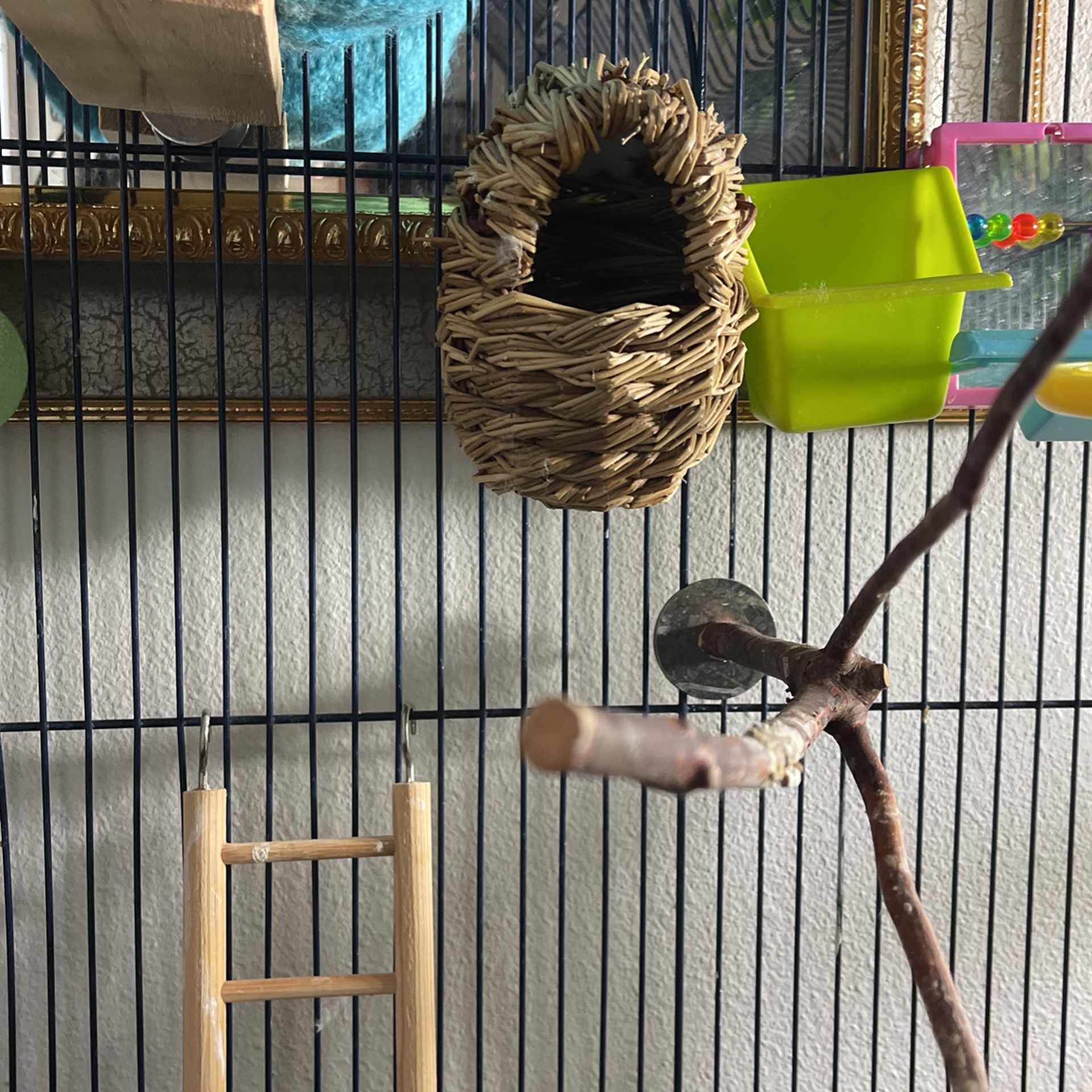 Medium Bird Cage 