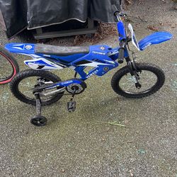 16 In Bike