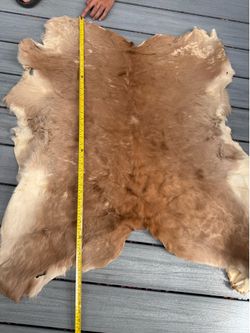 Genuine Animal Hide Rugs – Cow, Goat, Sheep, Deer & More