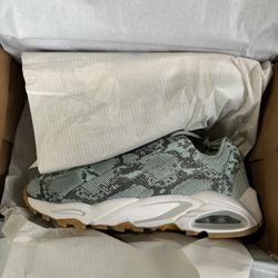 BRAND NEW Nike Air Terra