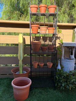 14 terracotta pots everything for only 30 dollars