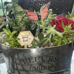 Beautiful Succulent Arrangement With Butterfly & rose Decor. 