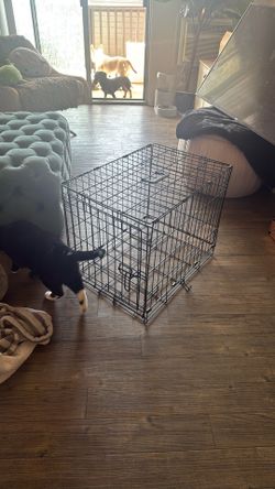 Small Dog Crate