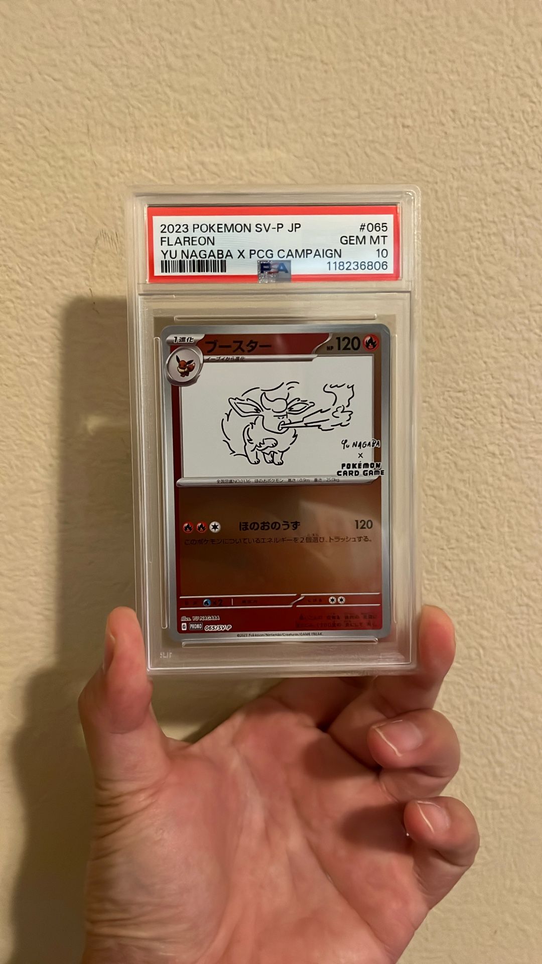 Pokemon Yu Nagaba Flareon