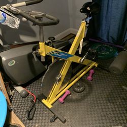 RevMaster LeMond Cycling Bike