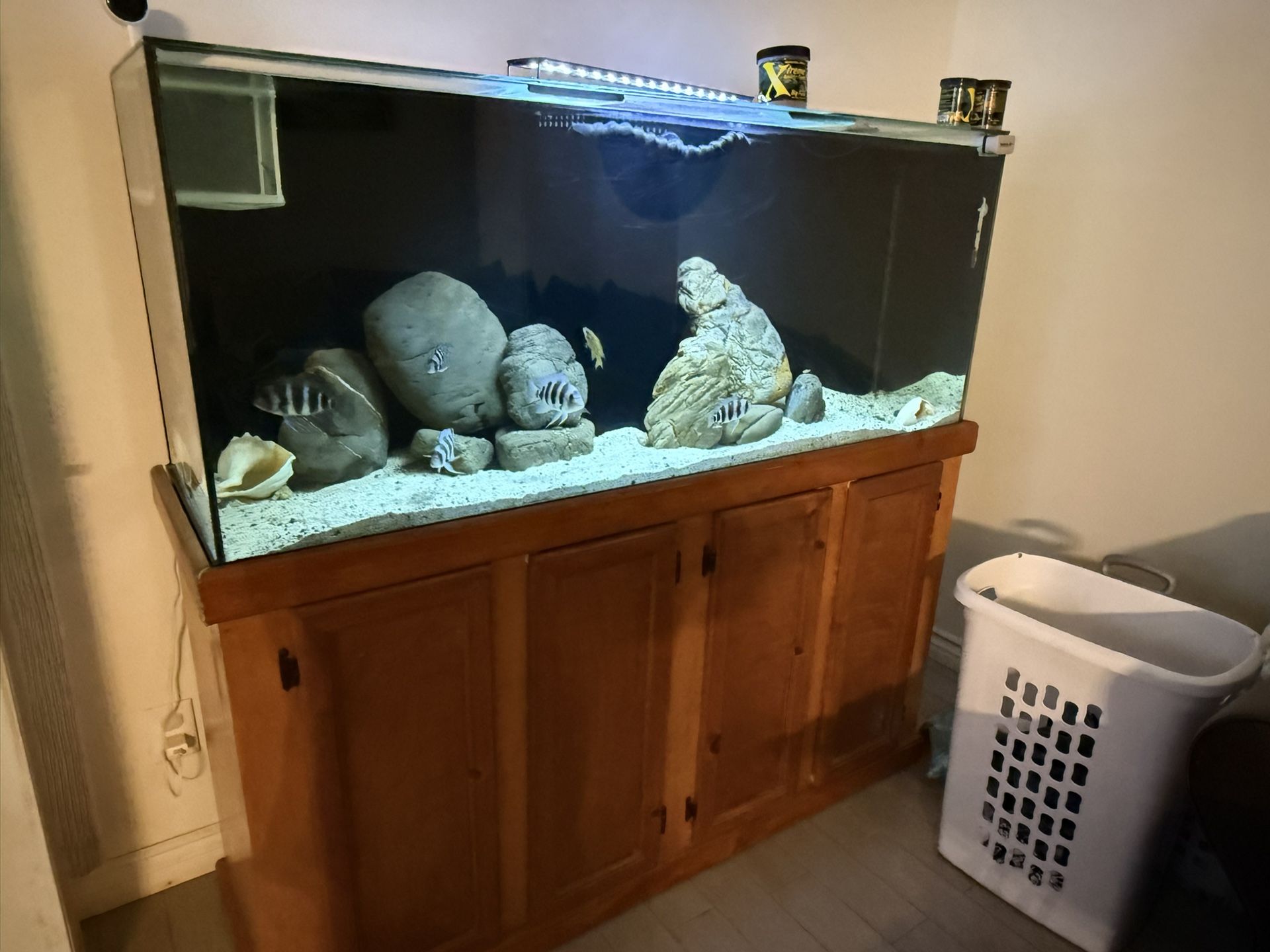 120 Gallon Fish Tank