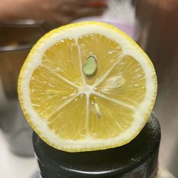 1of1 Green Seed Lemon Never Seen I’m Am The First 😈😈😈😈