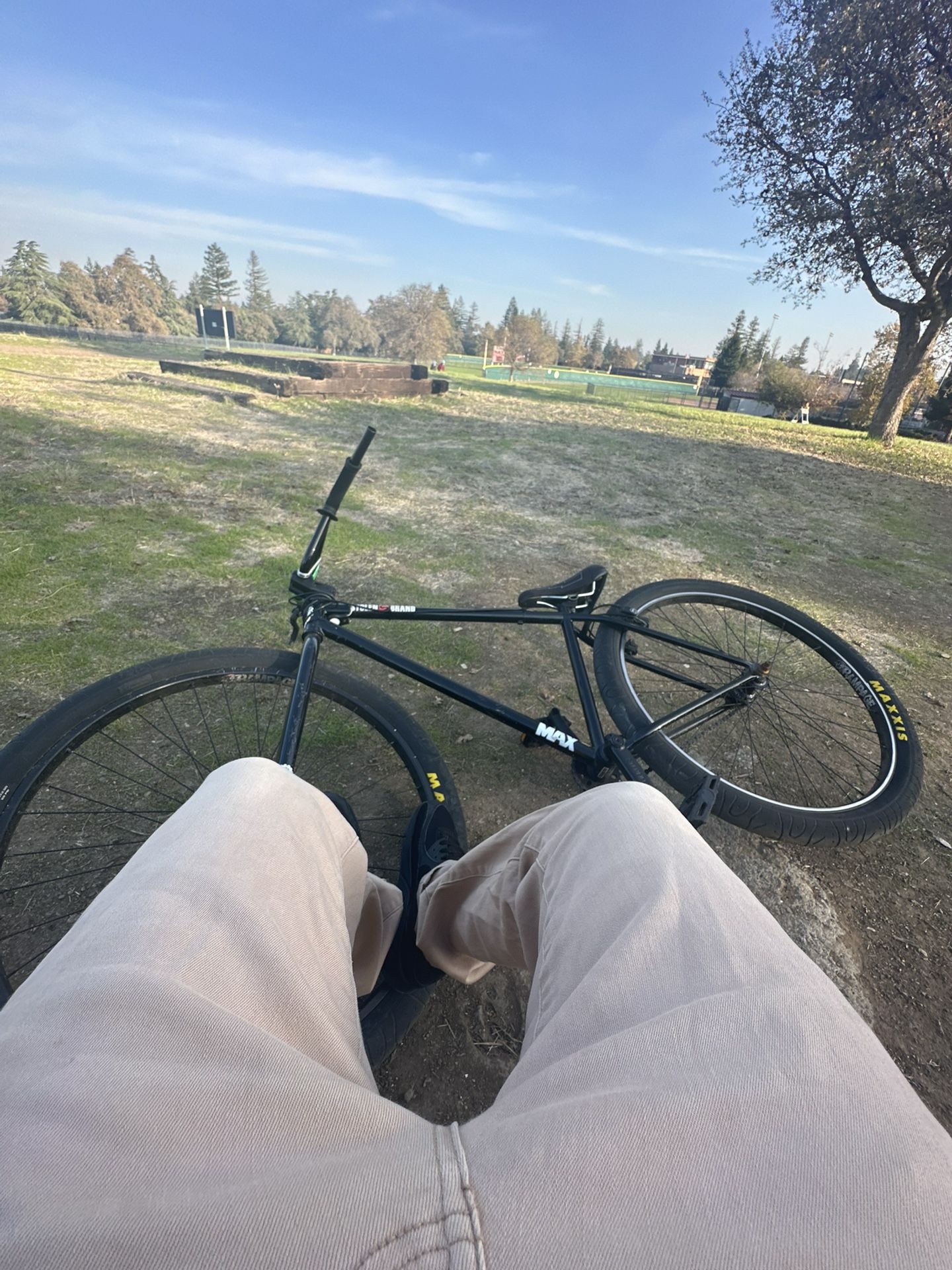 Stolen Brand Bmx 29 Inch Wheelie Bike