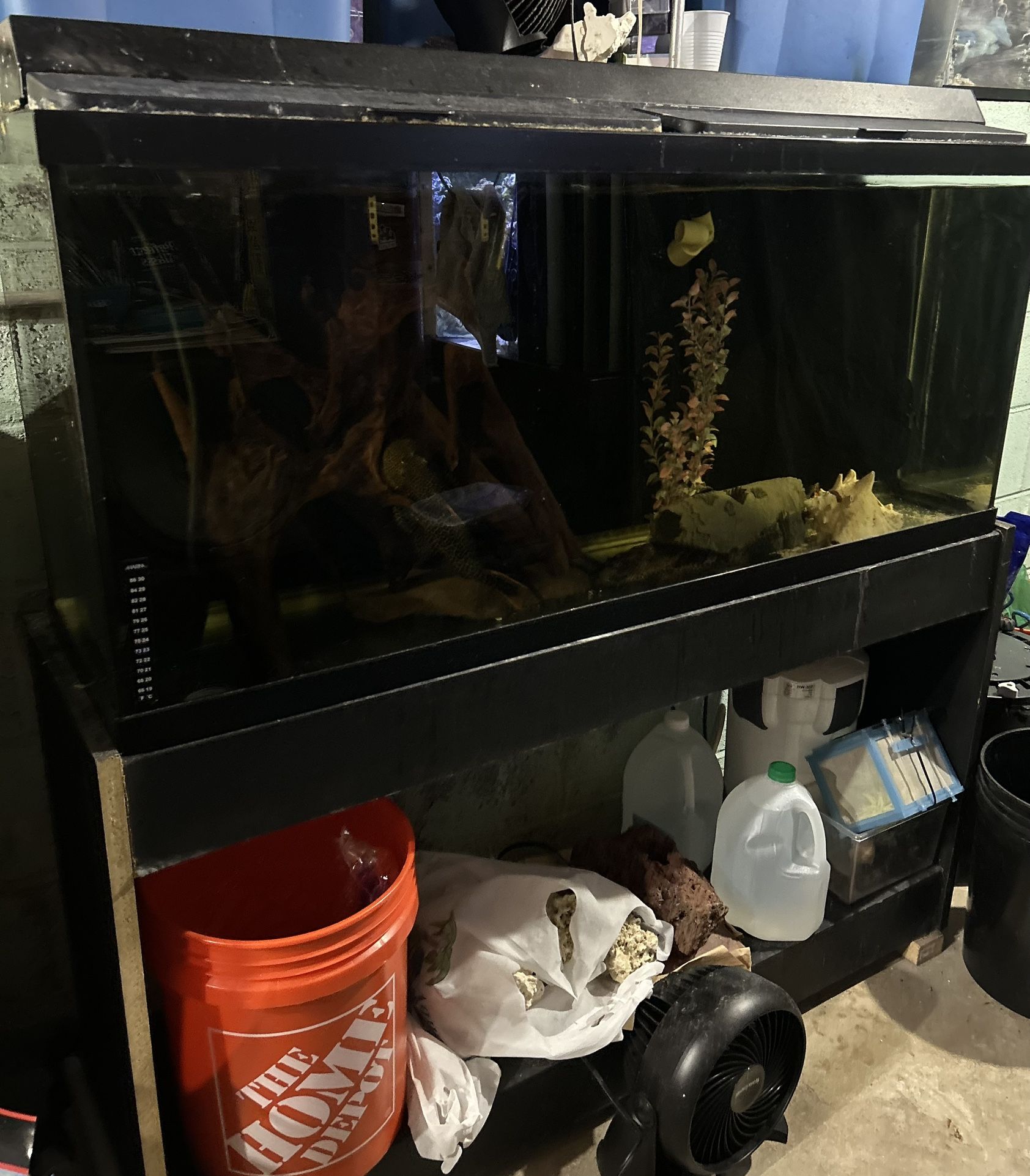 Fish Tank Setup