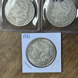 Three Morgan Silver Dollars. Group 23.