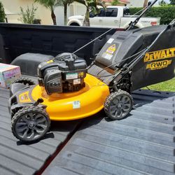 Dewalt 150cc RWD 21 with bag