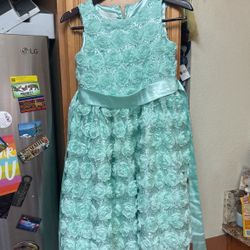 Dress Small Size 16