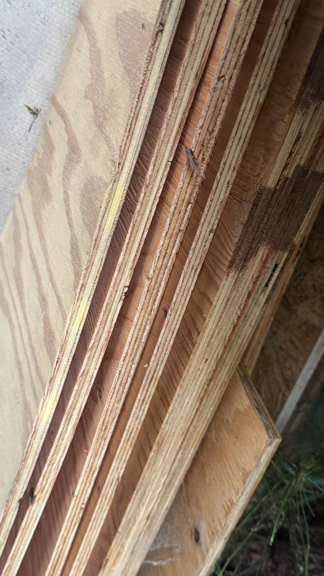 Plywood Cdx 