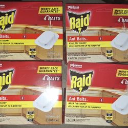 Raid