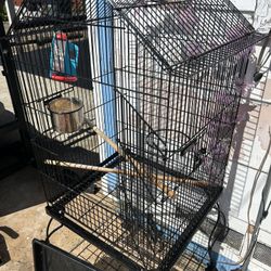 Bird Cage