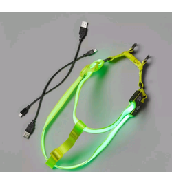 New LED dog harness from Target 🎯
