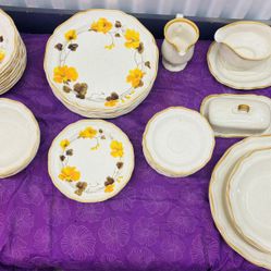 Mikasa Garden Club Fine China 