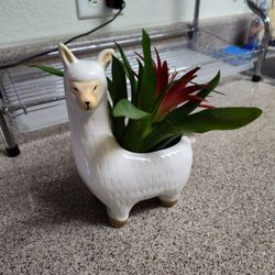 Lama Home Decor $5