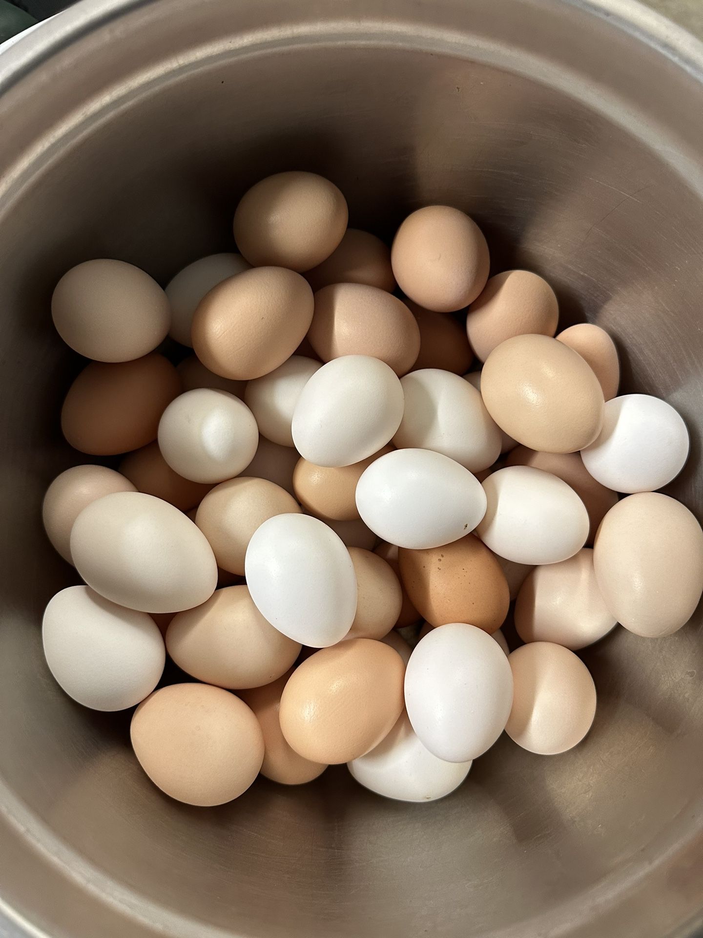 Eggs by dozen