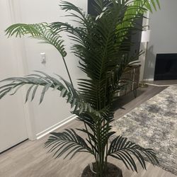 Palm Artificial For Sale 