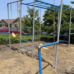 Exceptional Monkey Bar & Swing Set