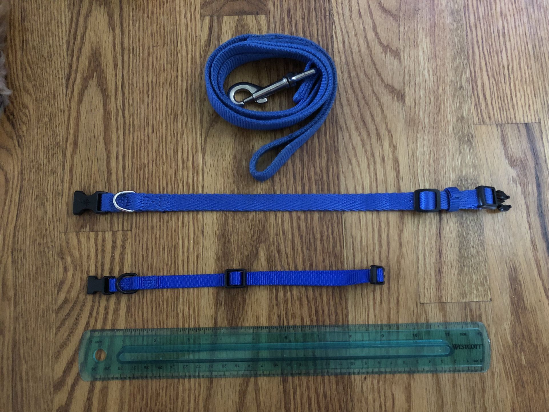 Royal Blue Dog Leash and 2 Collars for growing dogs) 