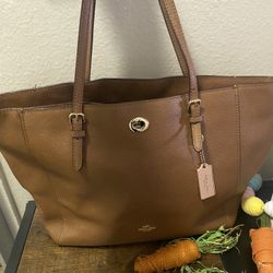 Brown Coach Purse Comes With Bust Bag