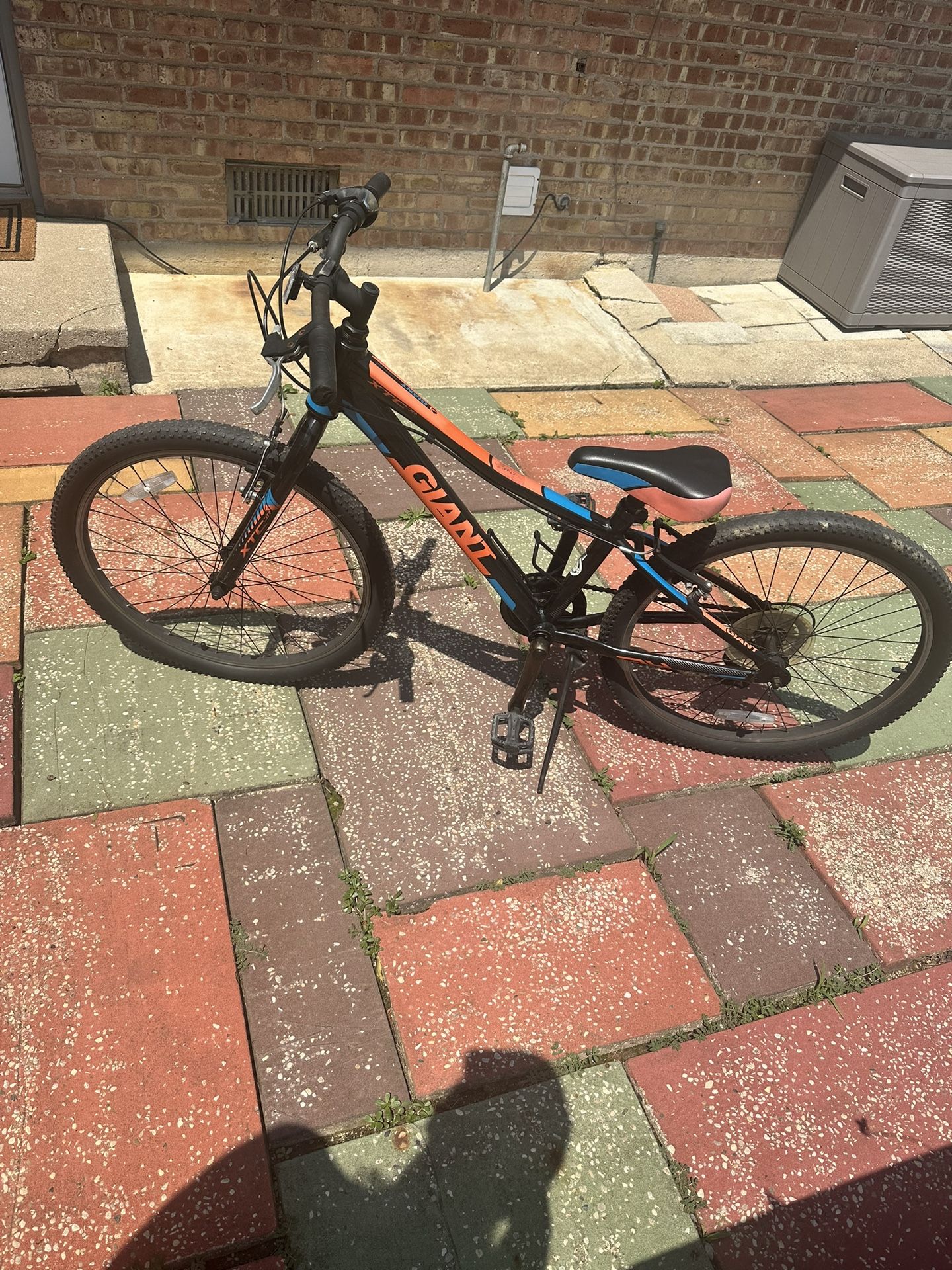 2018 Giant XTC JR 24 Lite Kids Young Adult Mountain Bike 7-Speed