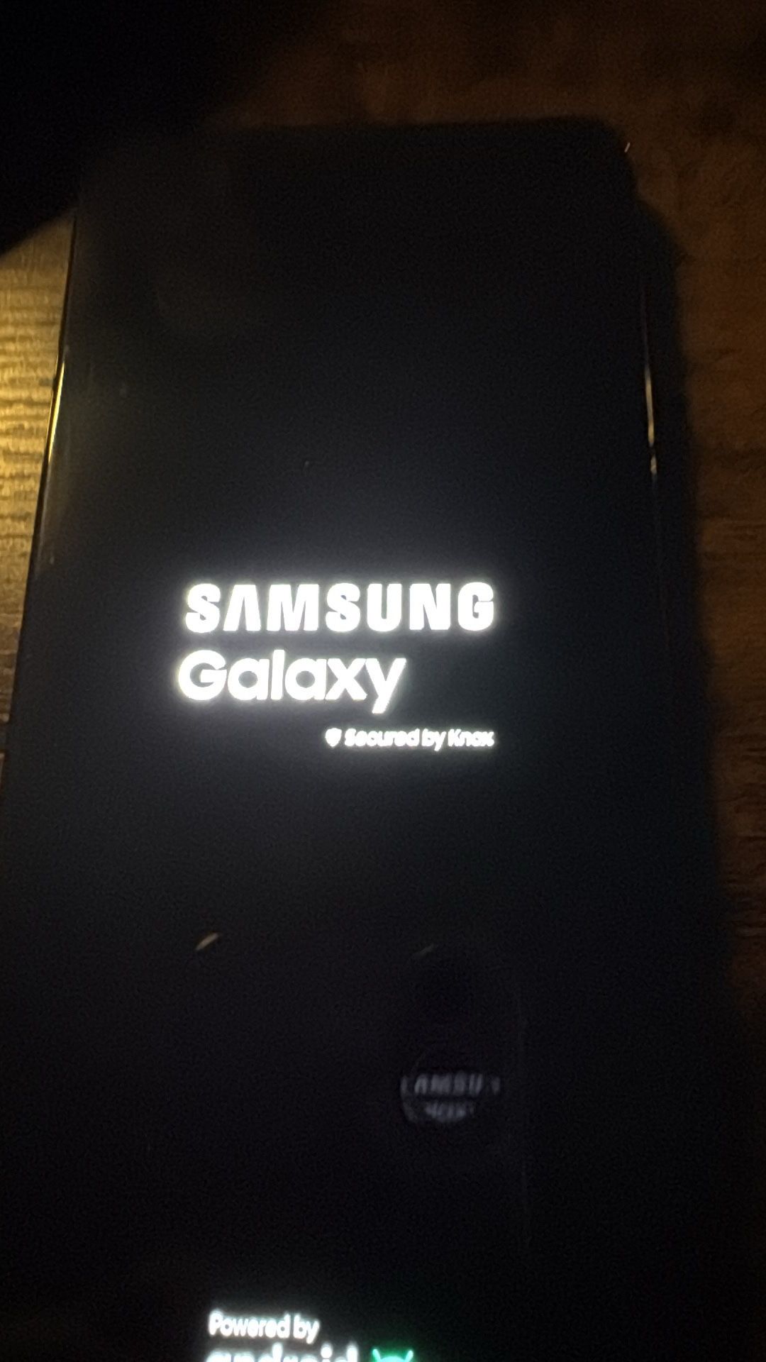 Galaxy S21 Plus Unlocked