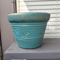Plant Pots