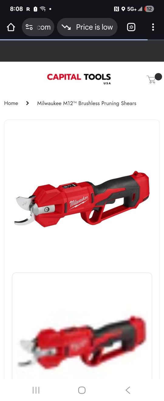 Pruning Shears
