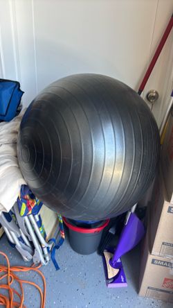 Free large bosu ball