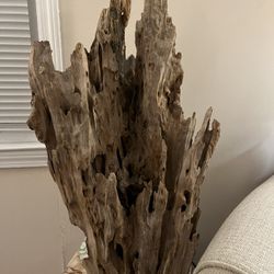 Driftwood Light 