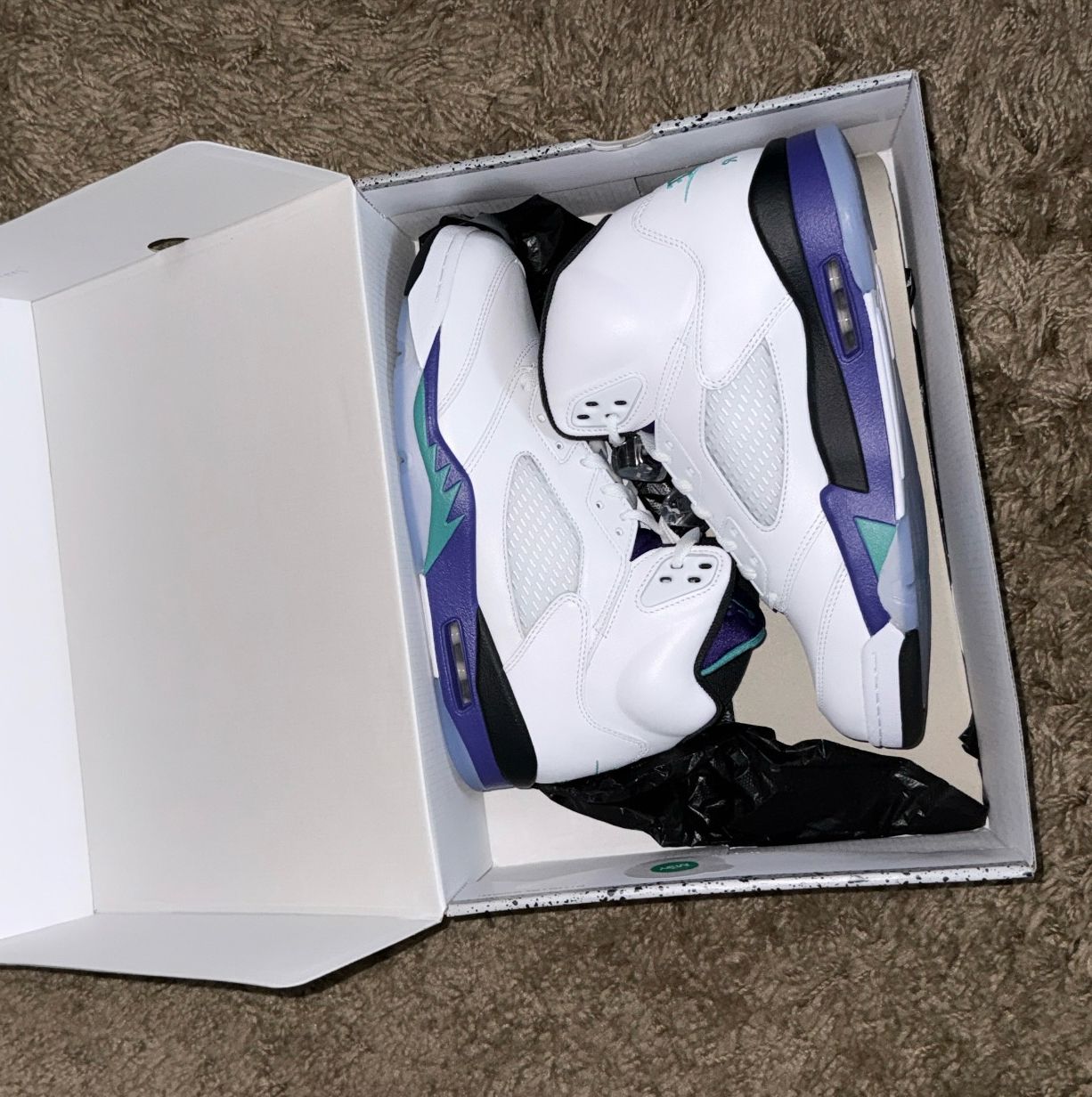 Jordan 5 Retro Grape 2025 Size 10.5 Men