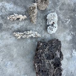 Saltwater Aquarium Dry Coral Rock —-REAL— Not Artificial 