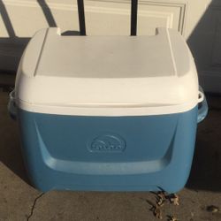 Cooler 