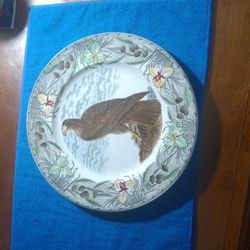 The Birds Of America  Plate