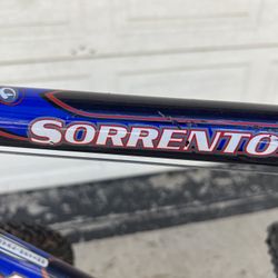 Diamondback Mountain Bike