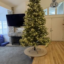 ALDIK’S CHRISTMAS TREE!!