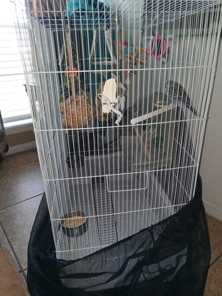 Bird Cage