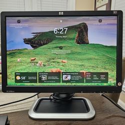 HP 19" LCD Color Monitor